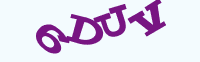 验证码